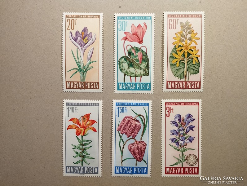 Hungary Nature Conservation, flowers 1966
