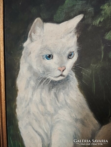 Régi, antik macskás festmény, macska festmény, fehér perzsa/angora