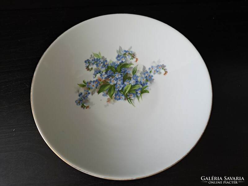 Henneberg German porcelain plates