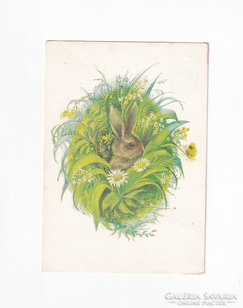 M:24 Easter greeting card
