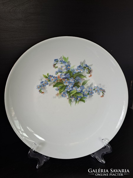 Henneberg German porcelain plates