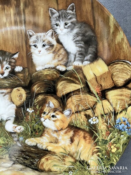 Cat porcelain decorative plate, kitten wall plate - wolfgang kaiser