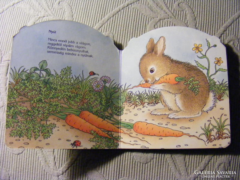 Béla Rigó - zoo - they also have lunch flip-flop storybook 1988