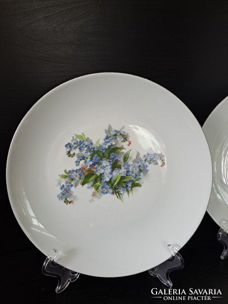 Henneberg German porcelain plates