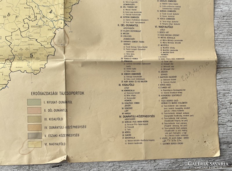 Forestry landscapes of Hungary in 1963