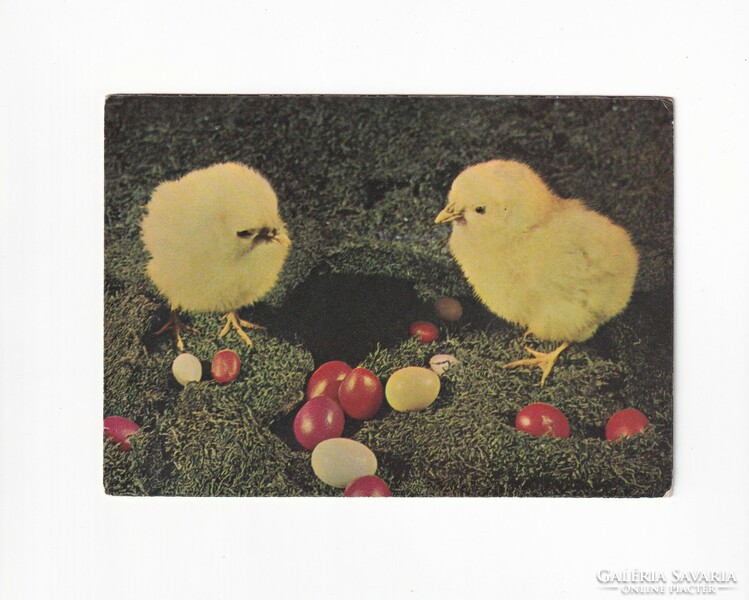 H:11 Easter greeting card