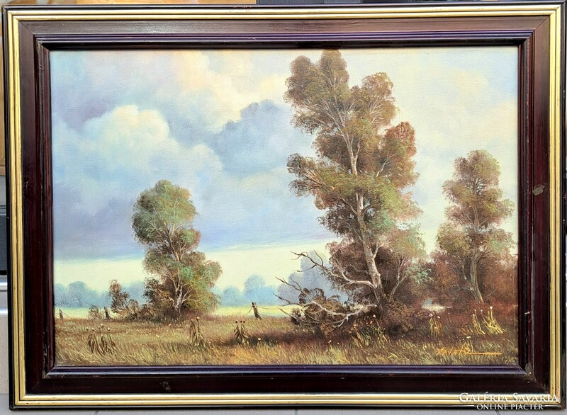 Palatin ede (1949-): Tisza floodplain, framed 62x83 cm.