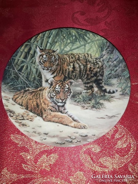 English wall porcelain decorative plate with tiger cubs - in display case