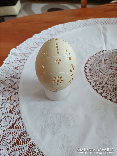 Engraved emu and nandu eggs