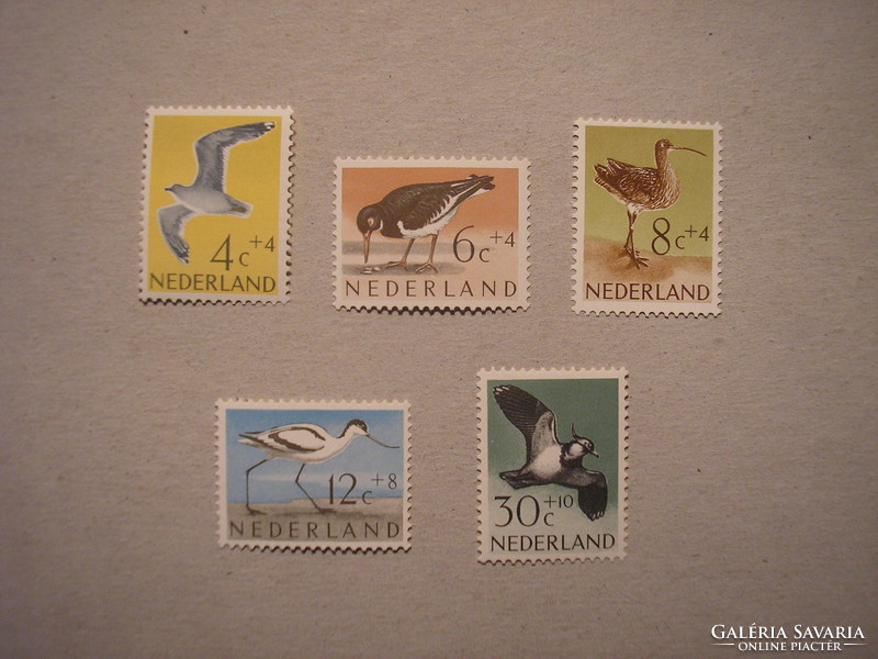 Netherlands fauna, birds 1961