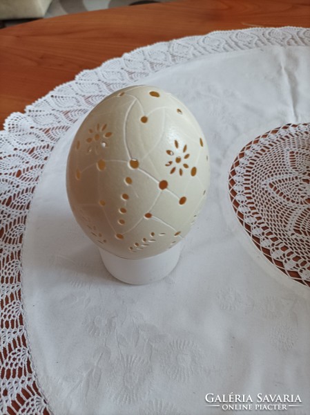 Engraved emu and nandu eggs