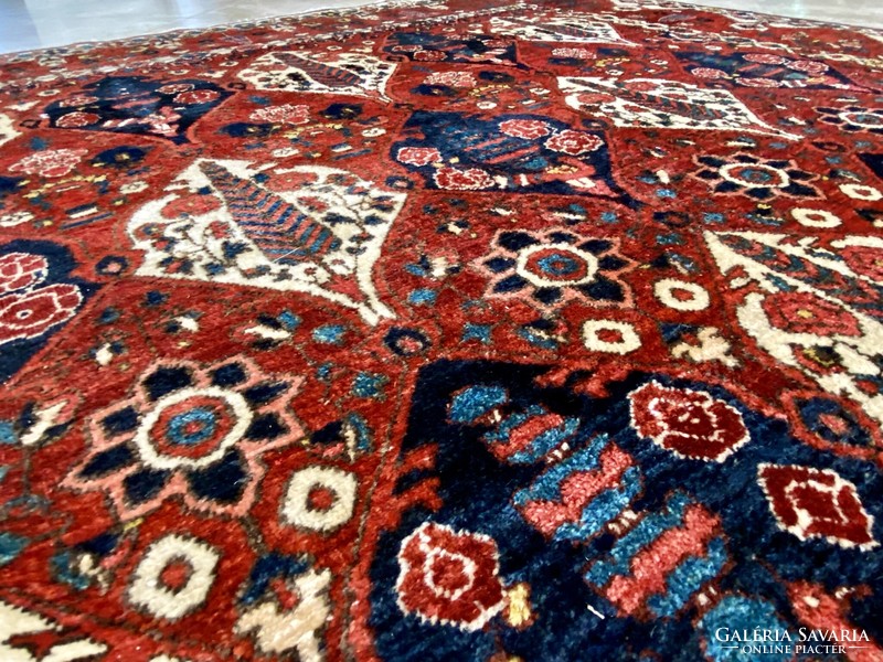 Iran Baktiari patina exclusive Persian carpet