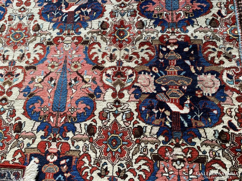 Iranian baktiar collectable Persian rug 275x200cm