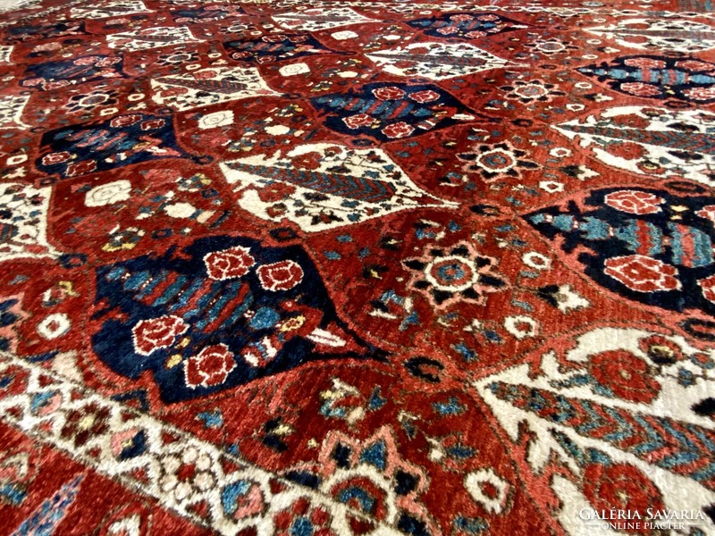 Iran Baktiari patina exclusive Persian carpet