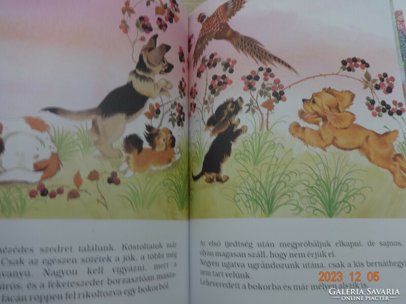 Animal stories for little ones in big letters - old, rare storybook