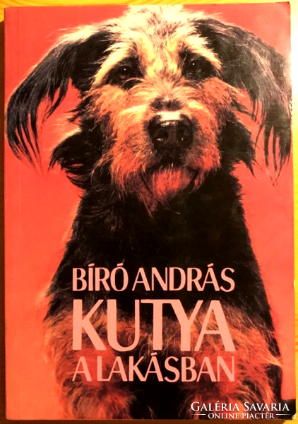 Bíró András: Kutya a lakásban