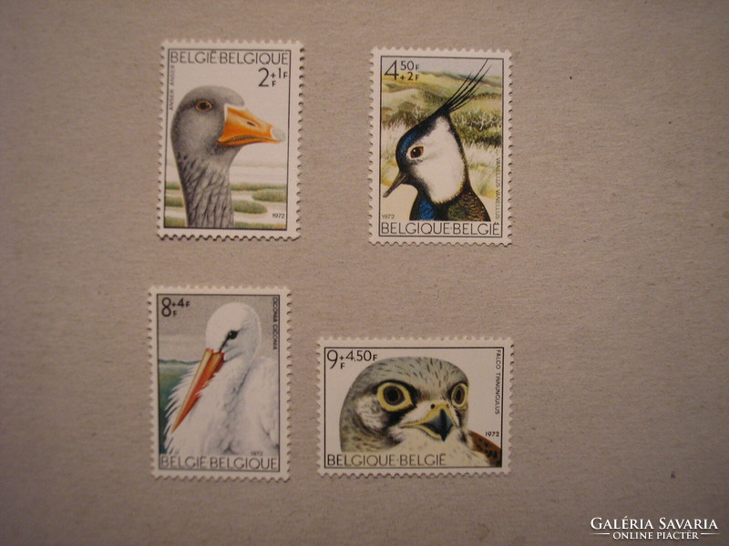 Belgium fauna, birds 1972