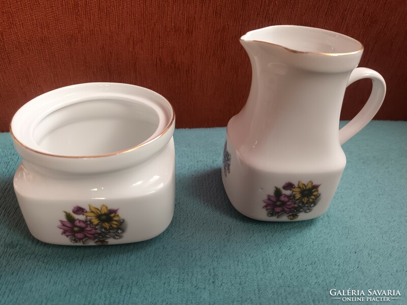Thun csehszlovák porcelán kávéskészlet elemek, kiegészítők, virágmintás dekorral.