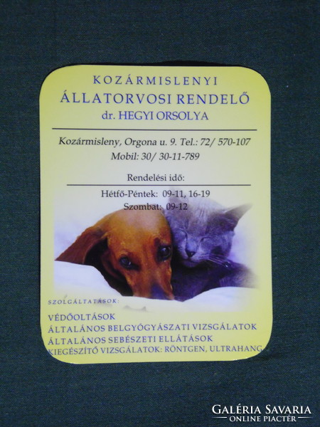 Kártyanaptár, kis méret, Dr Hegyi Orsolya állatorvosi rendelő, Kozármisleny, kutya,cica,  2009, (6)