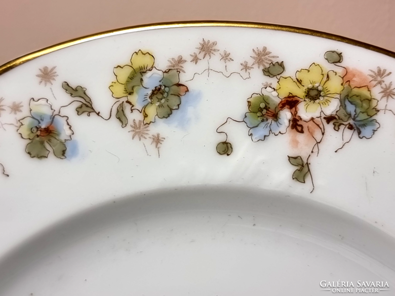 *Carlsbad porcelain tableware elements, carl knoll carlsbad with floral pattern sticker decor, xx. Szd first f