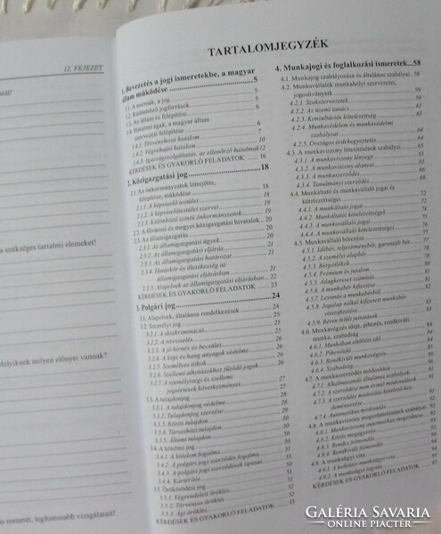 Orsolya Varga, anikó gazsó: legal, economic, business knowledge (2007, textbook)