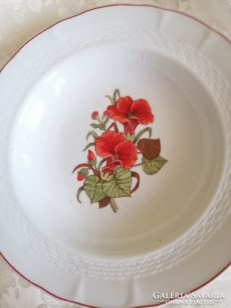 Floral plate retro beautiful