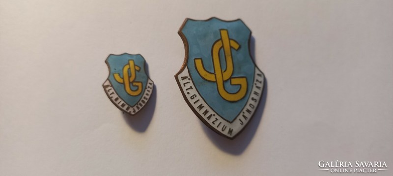 Jánosháza high school 2 badges in one