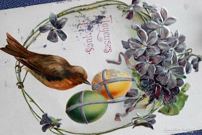 Antik dombornyomott Húsvéti üdvözlő képeslap  madár tojás ibolya  1906ból