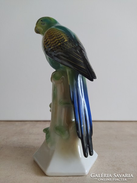 Rare fasold & stauch porcelain parrot