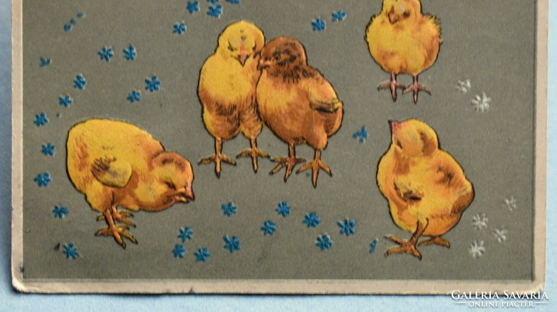 Antique embossed Easter greeting card chicks from 1908