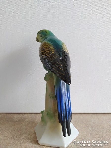 Rare fasold & stauch porcelain parrot