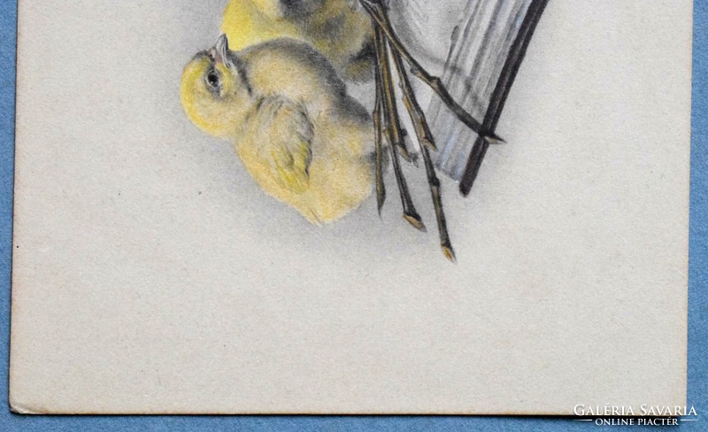 Antik MM Vienne Húsvéti üdvözlő képeslap kézzel színezett /  csibék  tojás barka