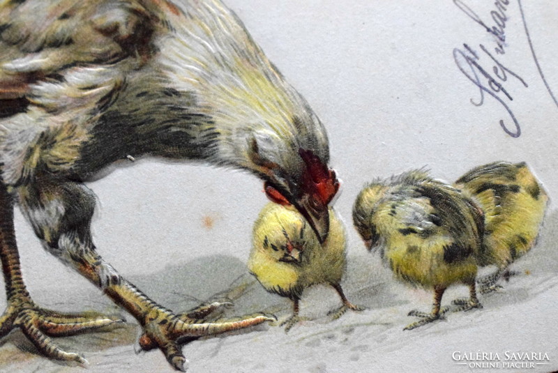 Antik dombornyomott Húsvéti üdvözlő képeslap  tyúk csibék