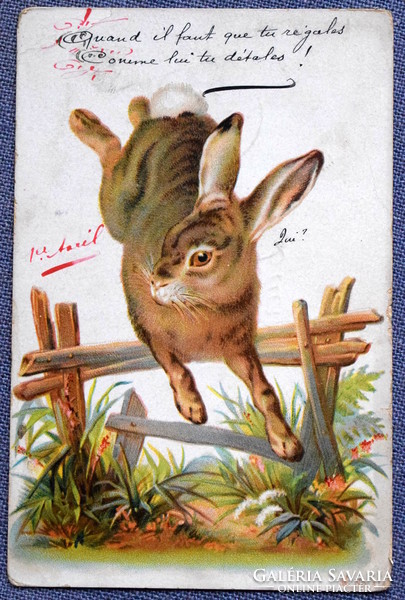 Antik litho üdvözlő képeslap  nyuszi  1905ből