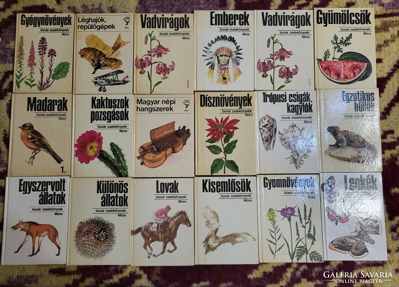 Búvár zsebkönyvek és  Kolibri könyvcsomag ( 18 db)