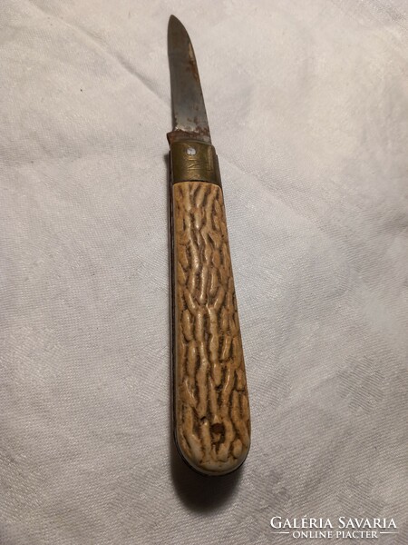 Pocket knife with antler(?) handle