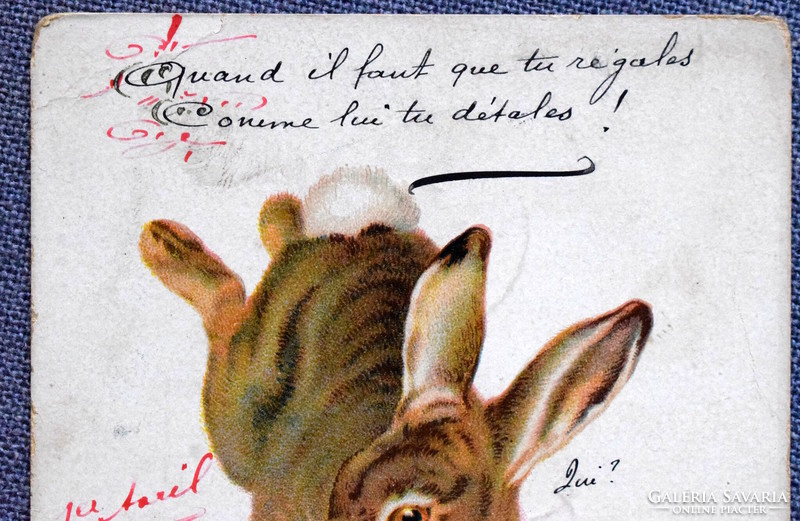 Antique litho greeting card bunny from 1905
