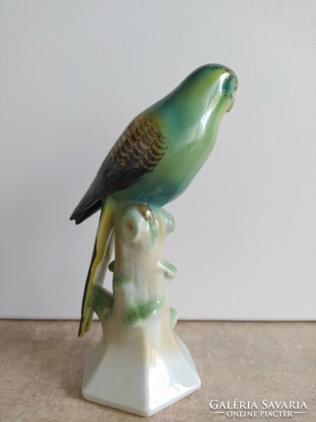 Ritka Fasold & Stauch porcelán papagáj