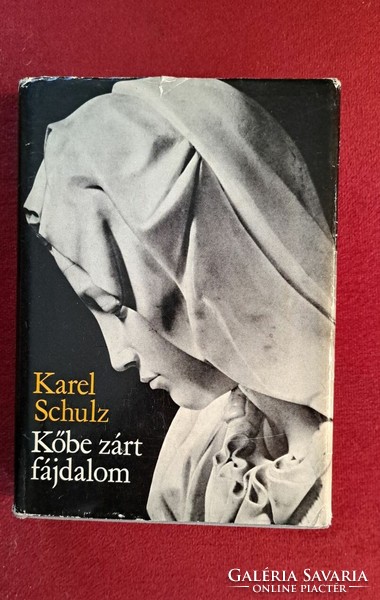 Karel Schulz - Kőbe zárt fájdalom - Michelangelo Buonarroti életregénye