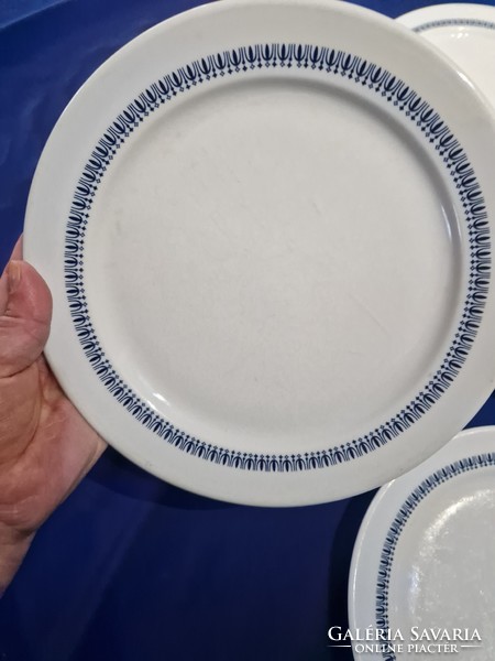 Lowland porcelain flat plates with passenger animal pattern