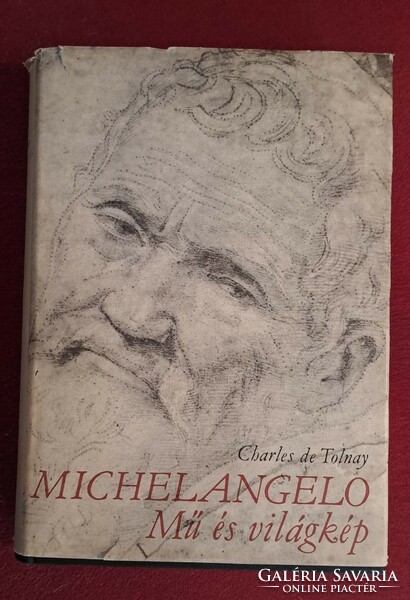 Michelangelo Mű és világkép