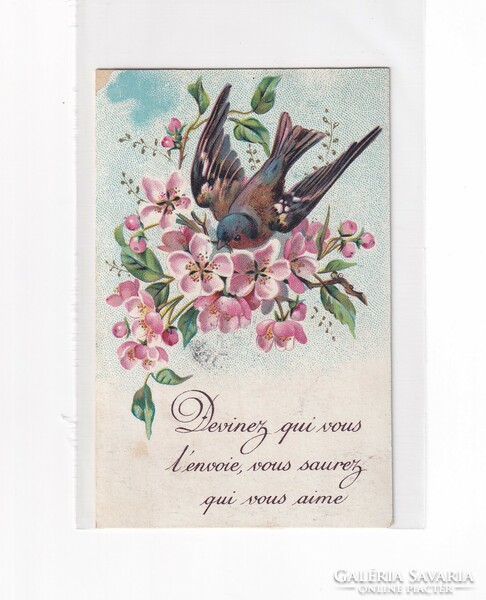 H:107 antique bird greeting card with long address 1907