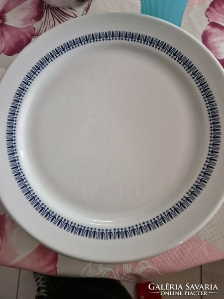 Lowland porcelain flat plates with passenger animal pattern