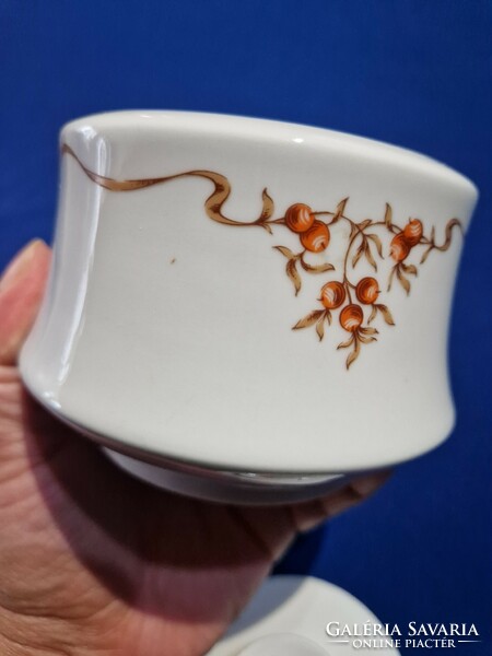 Larger Alföld porcelain sugar bowl with rosehip pattern