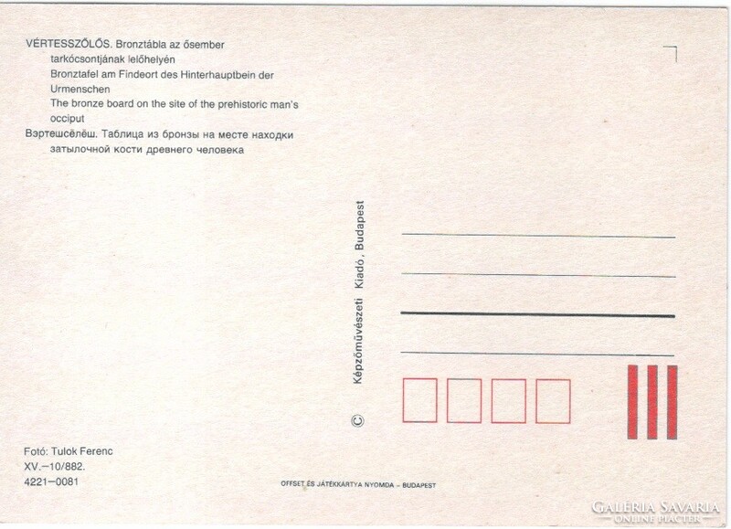 Képeslap 0081 (Magyar) Vértesszőlős    postatiszta