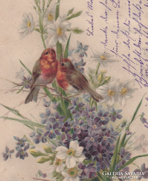 H:107 antique bird greeting card with long address 1919