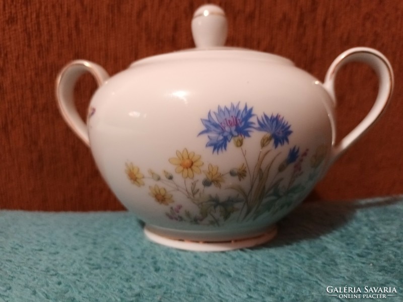 Beautiful Kahla German porcelain sugar bowl with a flower pattern and butterfly