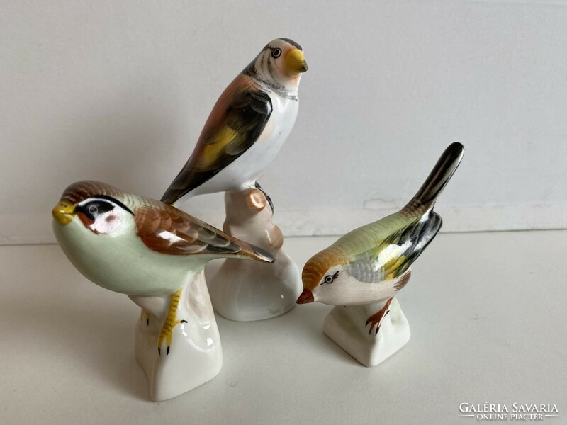 6 Aquincum porcelain bird figurines + 1 raven house gift