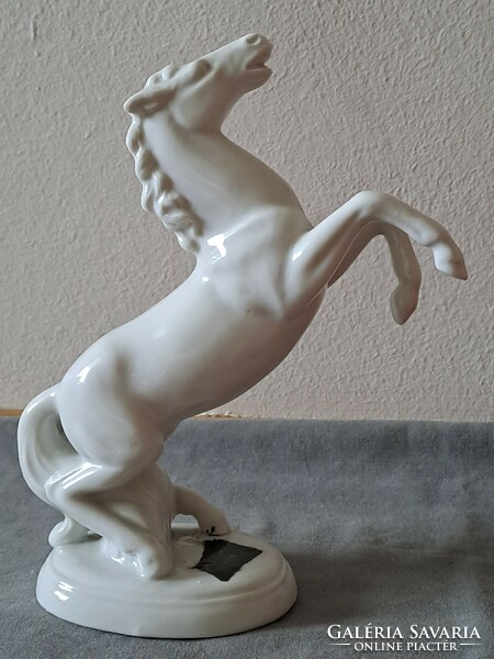 Almost free! Unterweissbach prancing horse porcelain figure
