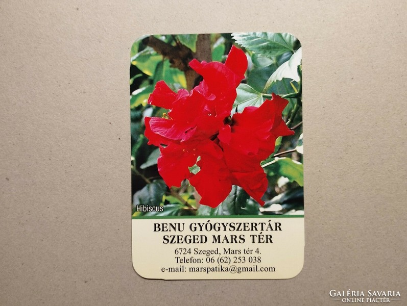 Hungary, card calendar i.- Benu pharmacy 2024